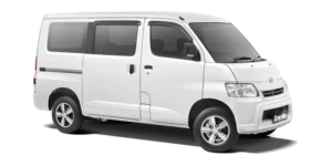 Granmax Minibus Icy White