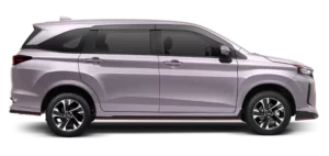 New Xenia Purplish Silver
