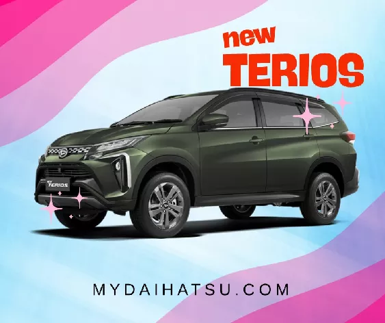 Dp All New Terios
