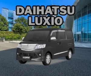Cashback New Luxio