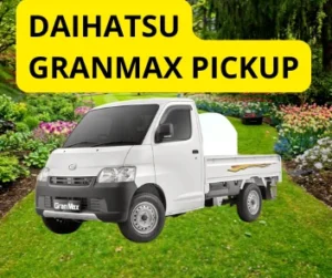 DP Granmax PickUp